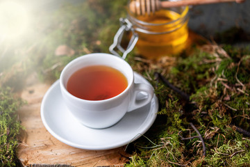 Cup of tea with lemon, ginger and honey on wood and moss in the forest.
