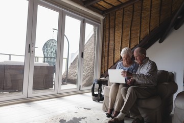 Fototapeta premium Senior couple using laptop