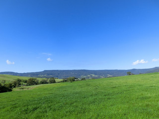 Green grass field on small hills and blue sky with clouds