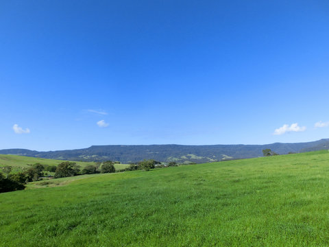 Green grass field on small hills and blue sky with clouds