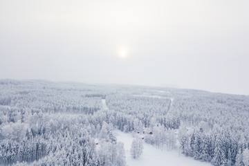 Aerial view of winter forest