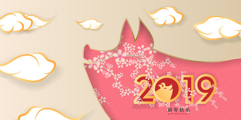 2019 Chinese new year pig lanterns background	