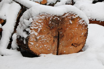 Schnittholz -Schneebedeckt