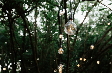 Decorative outdoor string lights hanging on tree in the garden at night time