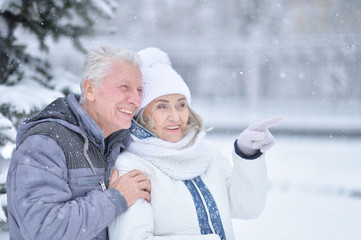 Portrait of happy senior couple at winter outdoors