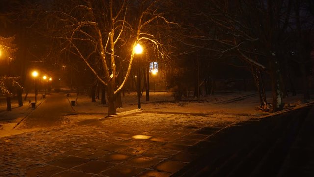 Empty alley lit by street lamps in winter at night