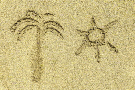 Palm tree and sun simple signs on bright sunny sea sand