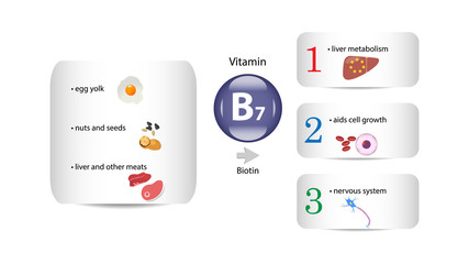 Fototapeta na wymiar Vitamin B7 vector design. Vitamin B7 function and sources. Biotin