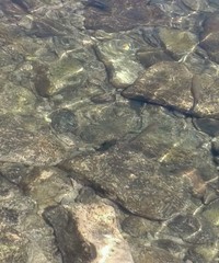  coast and serenity nature