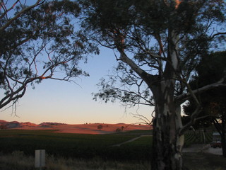 Fototapeta na wymiar Barossa Valley. Australian wine state