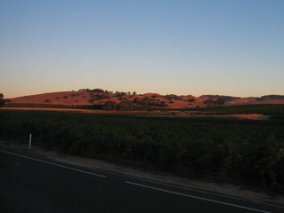 Fototapeta na wymiar Barossa Valley. Australian wine state