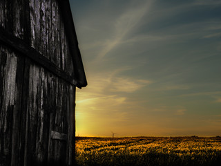 summer landscape field © mike