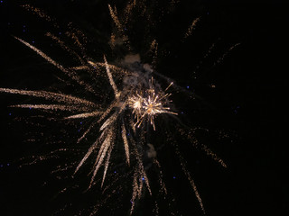 Fireworks on dark sky background