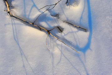 Dry branches without leaves on bright white snow background with shadows, top view