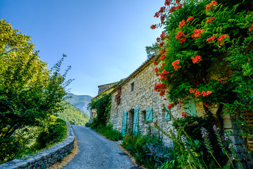 Rue et façades des maisons de village de Brantes, Provence, France. Fleurs de trompette de Virginie (Campsis radicans).