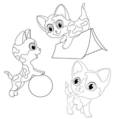 cats play ball book set