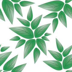 tender green leaves on white background - illustration