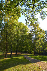 Photo of a park in a German city. Beautiful nature of Germany. Green park area of Hamburg. Park paths for walking people. Beautiful nature on a sunny day.