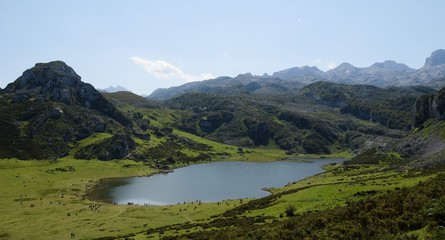 Fototapeta na wymiar lagos de covadonga