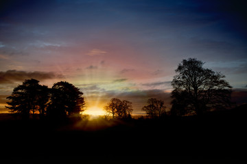 landscape at sunrise in winter with trees on the horizon against the light