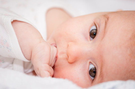 little baby laying on cot sucking finger in mouth. Portrait horizontal image