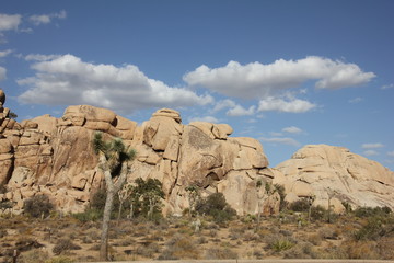 Fototapeta premium Desert 3