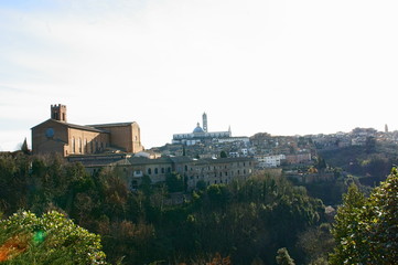 Fototapeta na wymiar Dettagli di Siena