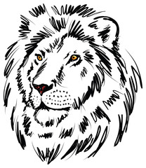 Fototapeta na wymiar lion illustration