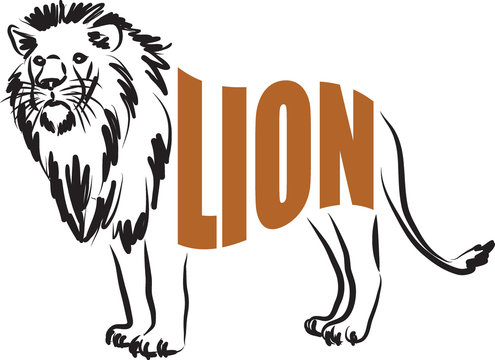 LION lettering illustration