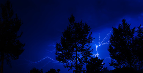 Fototapeta premium Blitz schlägt bei Nacht in Baum 