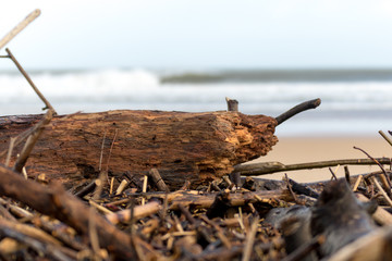 wood