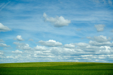 Fototapeta premium CAMPO DE CASTILLA CON NUBES PRIMAVERA