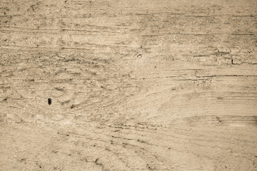 Wood wall background or texture. Natural pattern