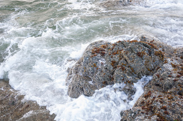 Water foam and a stone covered by seaweed in La Push beach area, La Push, WA