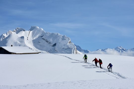 Guided tour on snowshoes in haute Savoie