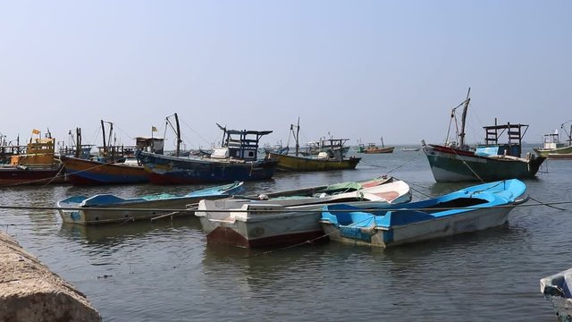 jaffna sri lanka port fish