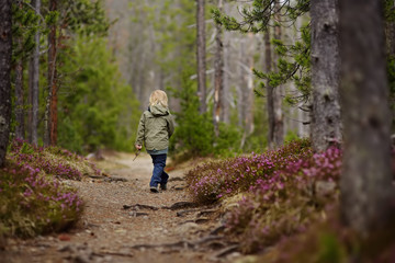 Fototapeta premium Cute little boy walks in Swiss national Park on spring.