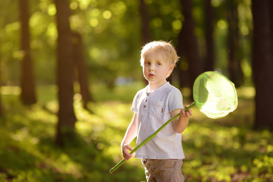 Cute little boy catches butterflies with scoop-net on sunny meadow.Study of nature. Young naturalist.