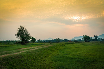 Countryside landscape field with tree and meadow green at sunset farm agriculture country