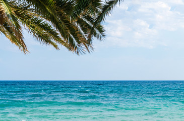 Urlaub am Meer mit Palmen und Meerblick