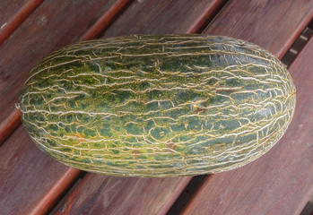 Santa Claus Melon