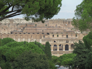 Colosseum in Rome