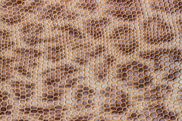 Genuine leather texture embossed under the skin of leopard, beyge brown color print, trendy background