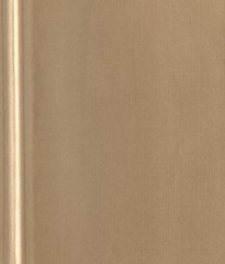 Fototapeta premium light brown paper texture background