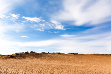 Dune Expanse