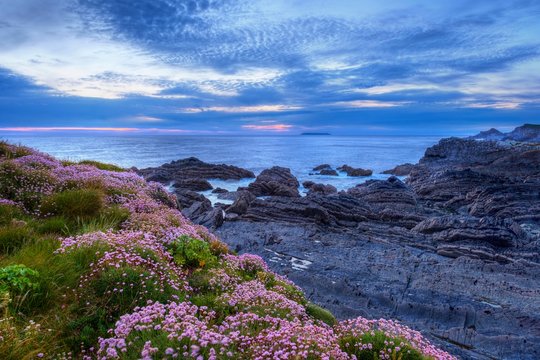 Rocky coast at dusk, Screda Point near Hartland Quay, Hartland, Devon, England, Great Britain