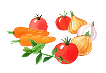 Carrots, tomatoes, onions, garlic and mint. Watercolor drawing