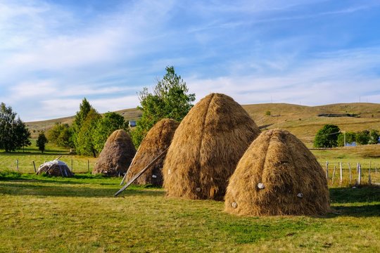 Haystack, Diemen, Pisce, Province of Pluzine, Montenegro, Europe