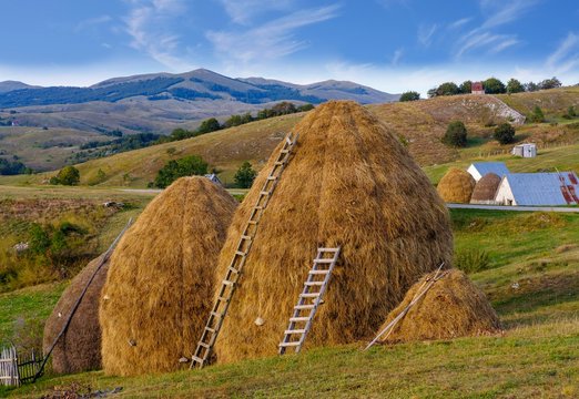 Haystack, Diemen, Pisce, Province of Pluzine, Montenegro, Europe