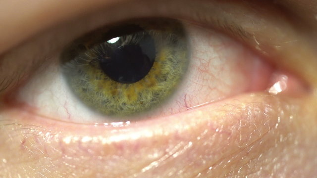 green eye extreme close-up of iris and pupil dilating and contracting. Very finely detailed macro blinking